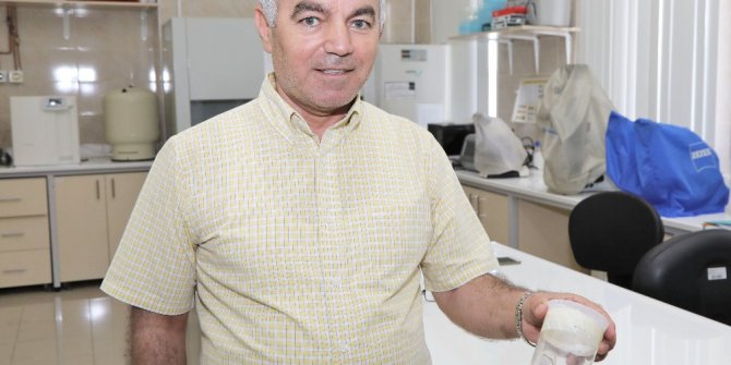 Prof. Dr. Abdullah İnci, "Sarı Örümcekler Zararsızdır"