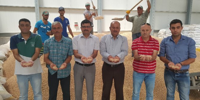 Kayseri Pancar Kooperatifinin Sözleşmeli Tarımı Nohut ve Yeşil Mercimek Ekimine Rağbeti Artırdı