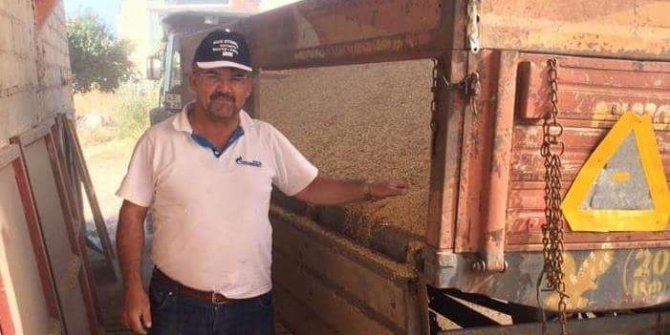 Sertfikalı buğday tohumu eken çiftçinin rekor hasadı