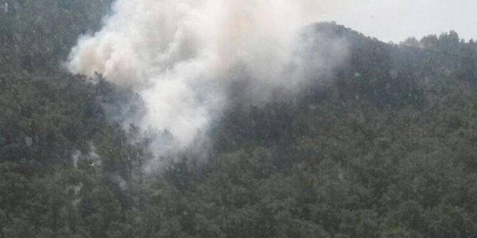 Milas’ta orman yangını
