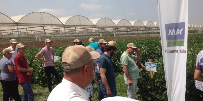 MAY Tohum tarım sektöründe Ar-Ge’ye en çok yatırımı yapan firma