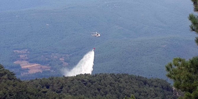 Muğla ve Aydın’da orman yangını