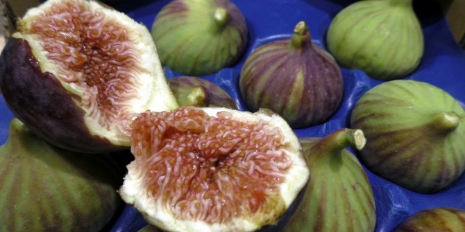 Bursa’nın siyah incirinin ihracatı 7 liradan başlıyor