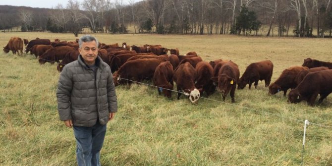 Et fiyatları ithalatla düşecek