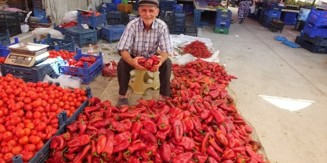 Burhaniye’de salçalık biber kazandırdı
