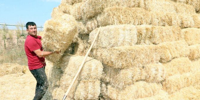 Yozgat’ta besiciler kış hazırlığına başladı