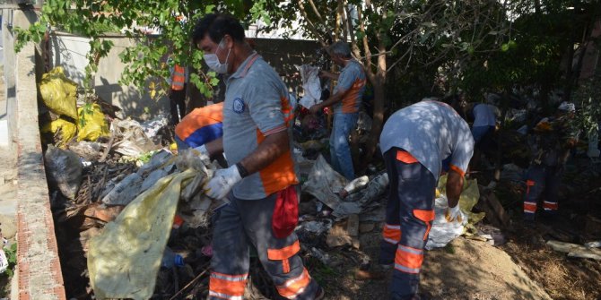 Çöp evden yılan çıktı