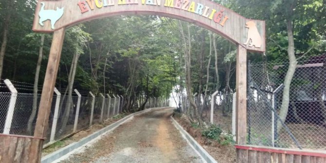 Hayvan haklarında Samsun örnek şehir gösterilecek