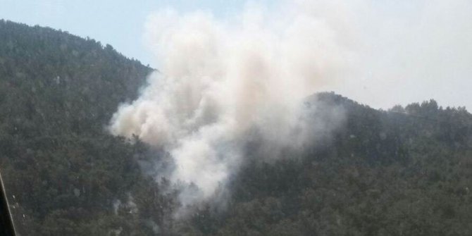 Bozdoğan’da 10 dönüm tarım arazisi yangında zarar gördü