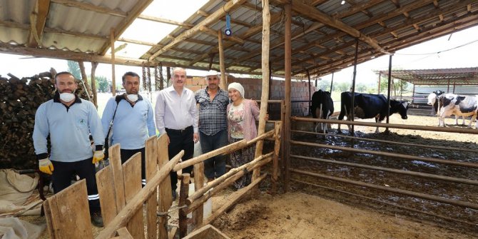 Pamukkale’de sinek ve haşere ile mücadele aralıksız sürüyor