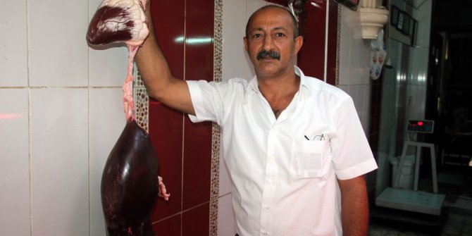 Şen: “Bu kurbanda et fiyatlarında bir düşüş olmayacak”