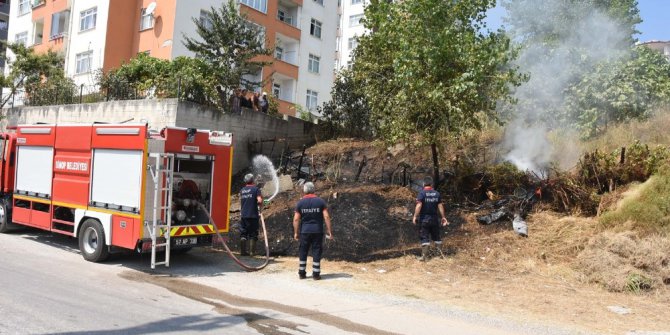 Sinop’ta ot yangını