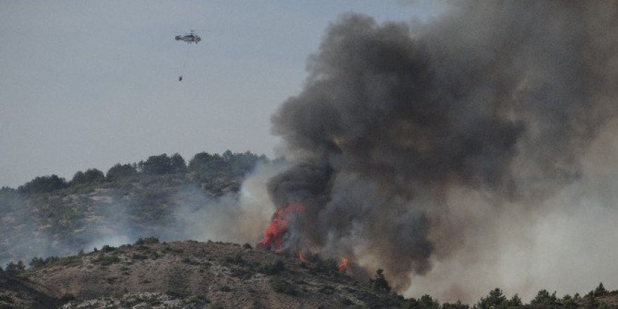 Bilecik’te Orman Yangını