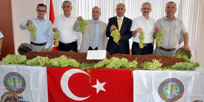 Manisa üzümü tescil yolunda