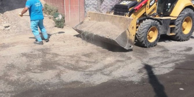 Ana arterlerde yol kenarları temizlendi
