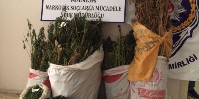 Manisa’da uyuşturucu operasyonu