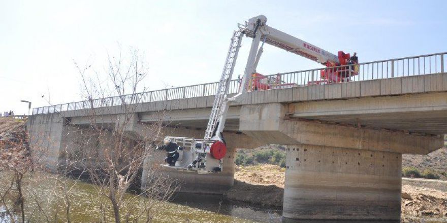 Baykuşu Kurtarmak İçin Yol Trafiğe Kapatıldı