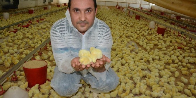 Beyaz ette yüzde 11 anlaşmazlığı