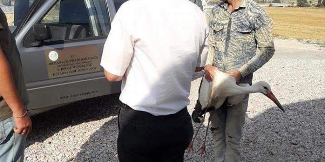 Yaralı leylek, Hayvanları Koruma Derneği’ne teslim edildi