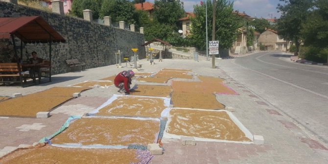 Bulgurluk buğdaylar yol kenarlarında kurutuluyor