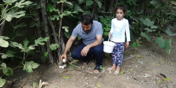 Ek iş olarak başladı, Avrupa’ya ihraç ediyor