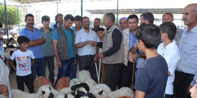 Kurbanlıklar pazara indi