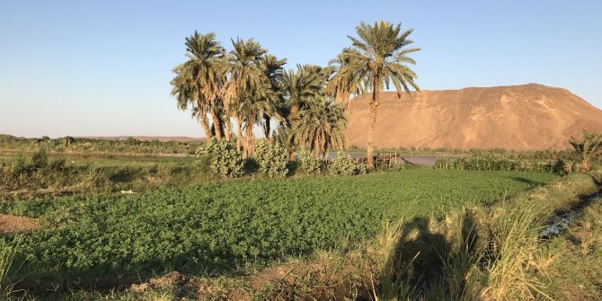 Sudan’da e-tarıma geçilecek