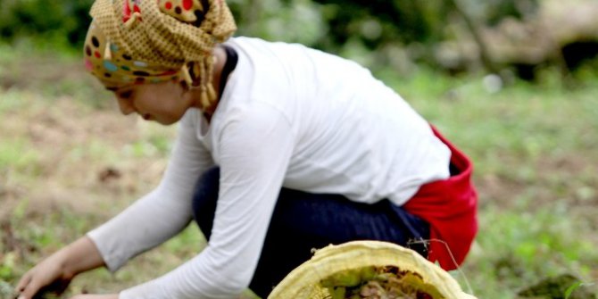 Fındık üreticisi açıklanan fındık fiyatına tepkili