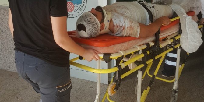 Fındık sererken çatıdan düşen genç hastanelik oldu