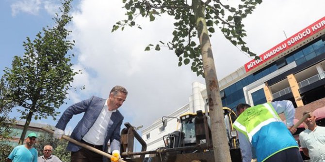 Gaziosmanpaşa’da ağaçlandırma çalışmaları devam ediyor
