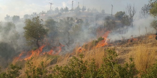 Milas’ta moloz alanında 5 gün arayla ikinci yangın