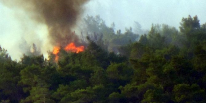 Ayvalık’taki orman yangını kontrol altına alındı