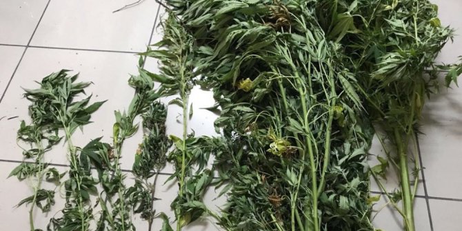 Jandarma ve polisten ortak operasyon