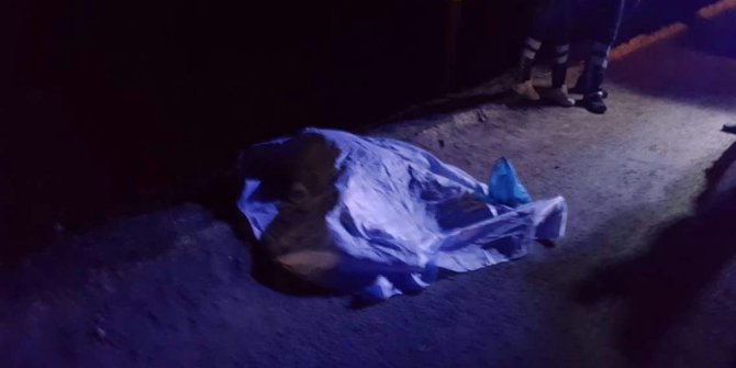 Minibüsün çarptığı kadın hayatını kaybetti