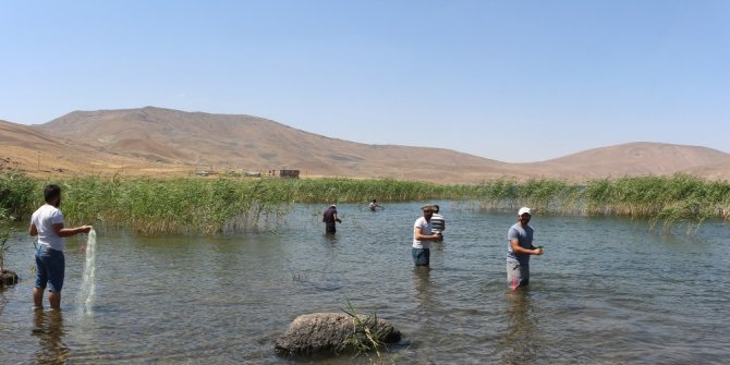 Türkiye’nin en yüksek rakımlı gölü ziyaretçi akınına uğruyor