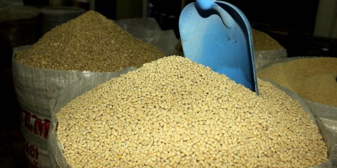 Aydın’da kanatlı hayvanlar için yem hazırlıkları sürüyor