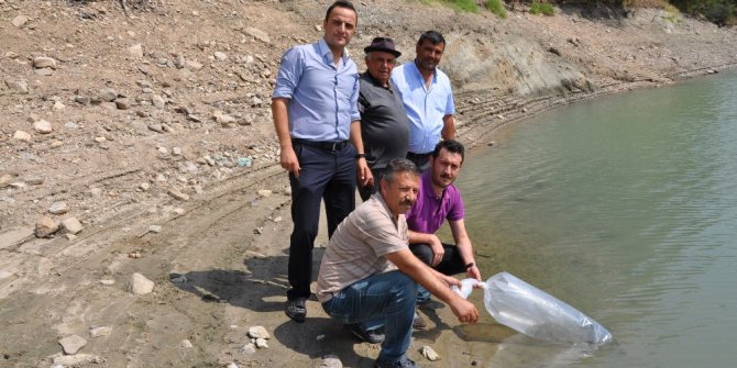 Simav’da göletlere 27 bin yavru balık bırakıldı