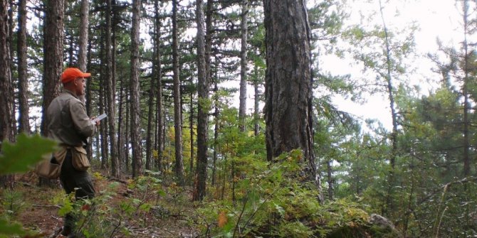 Bursa’da av yasağı kalkıyor