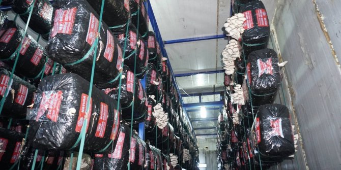 Hükümet, genç çiftçilere destek olmaya devam ediyor