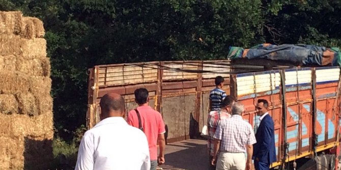 Büyükçavuşlu’da “kaçak” operasyonu