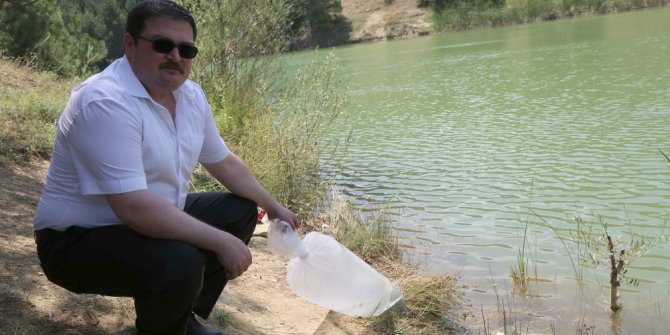 Uşak Banaz ilçesinde göletlere 15 bin yavru balık bırakıldı