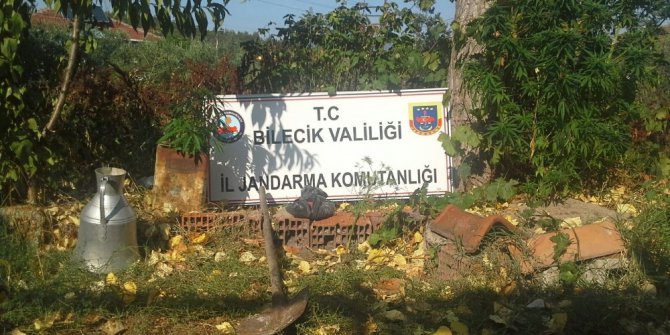 Jandarmadan 2 farklı yere kenevir operasyonu