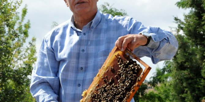 OMÜ saf bal üretiminde rekoru yakaladı