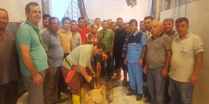 Kasaplar sınavdan geçti