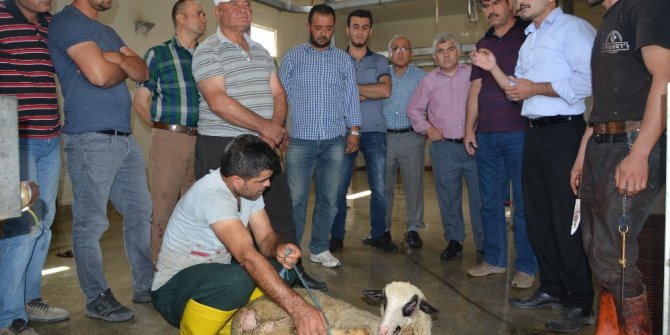 Korkuteli’nde kurban kesim kursu tamamlandı