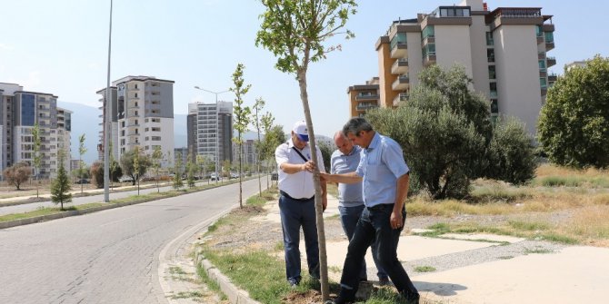 Güzelyurt’un çehresi değişiyor