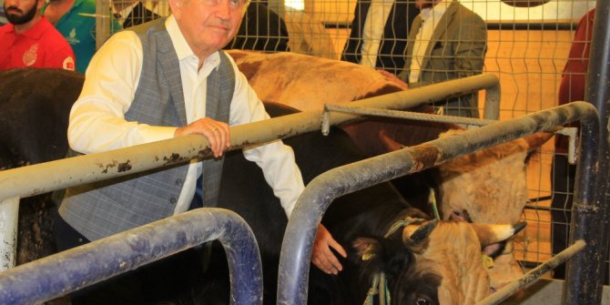 Kadir Topbaş, İBB Alibeyköy Kurban Satış ve Kesim Merkezi’nde inceleme yaptı