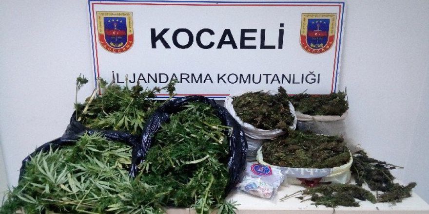 Kocaeli’de Uyuşturucu Operasyonu