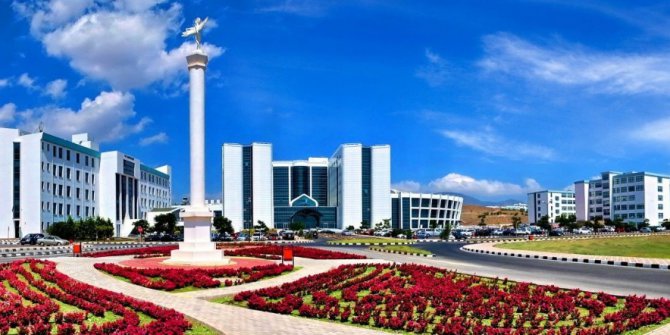 Kıbrıs Kekiği; Mide Kanseri, Ülselerler ve Lenfomaya  iyi geliyor