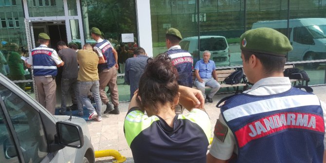 Hayvan hırsızlığına 2 tutuklama